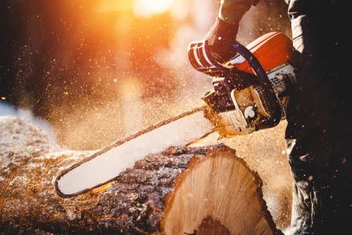 Tree Surgeon Oxfordshire