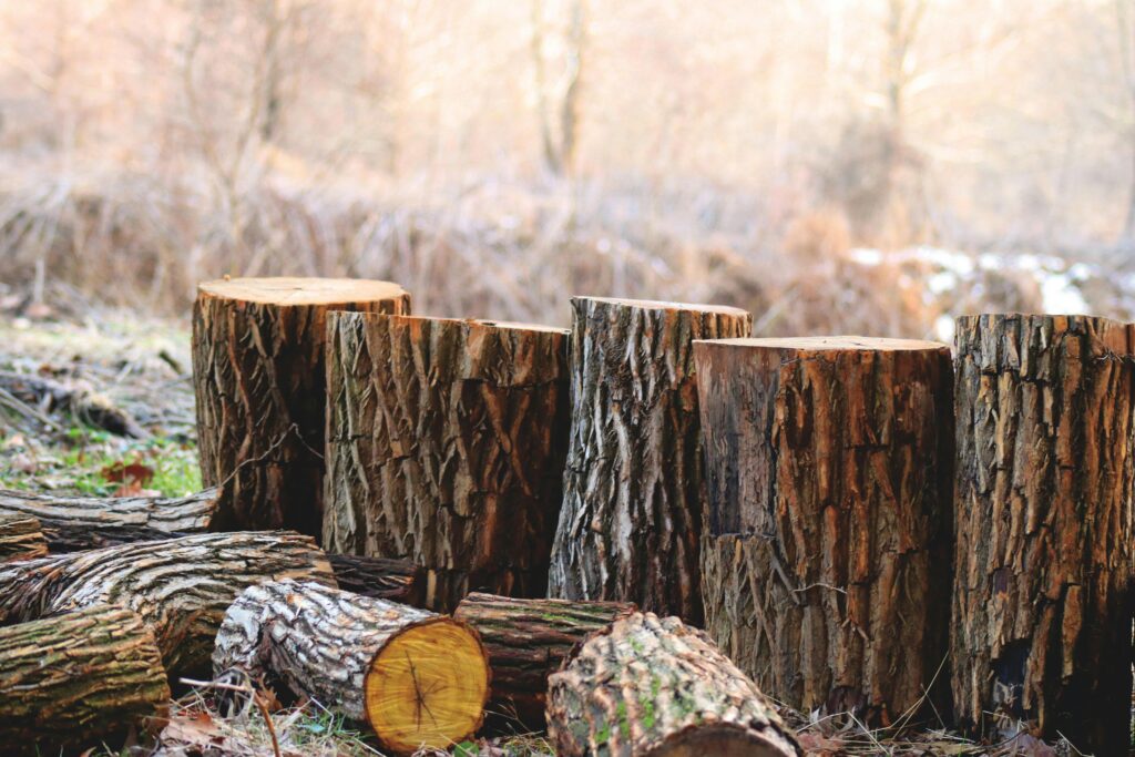 Naturally Trees