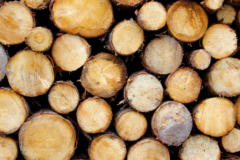 Stacked cut logs