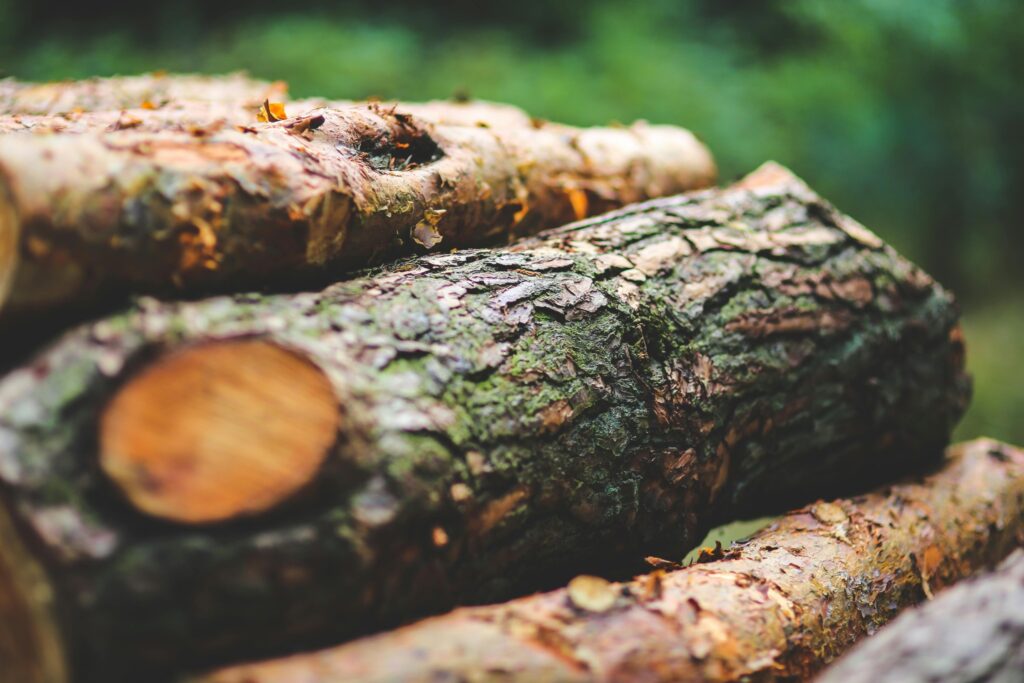 Stacked cut logs with bark texture in woodland setting